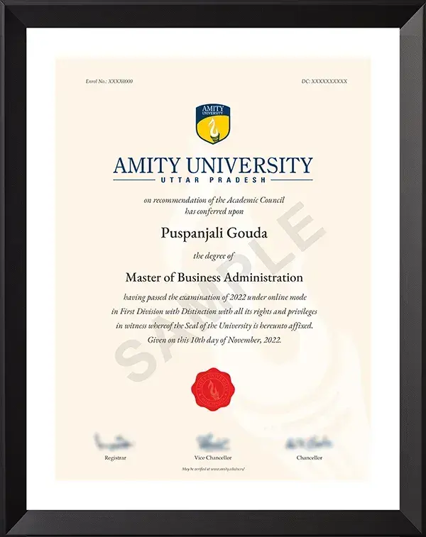 Amity University Certificate