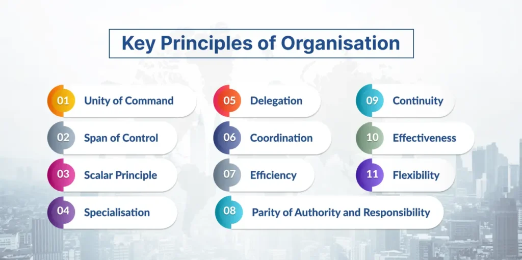Key Principles of Organisation​