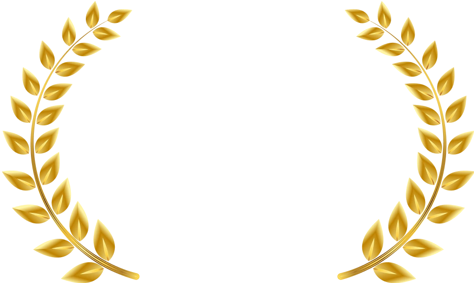 DY Patil Vidyapeeth University Online Placement