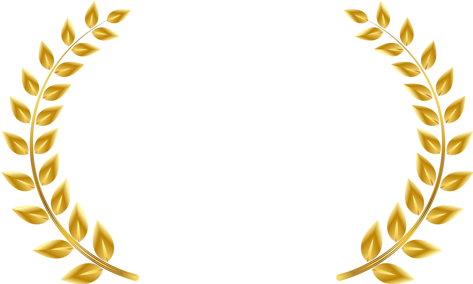 DY Patil Vidyapeeth University Online Placement