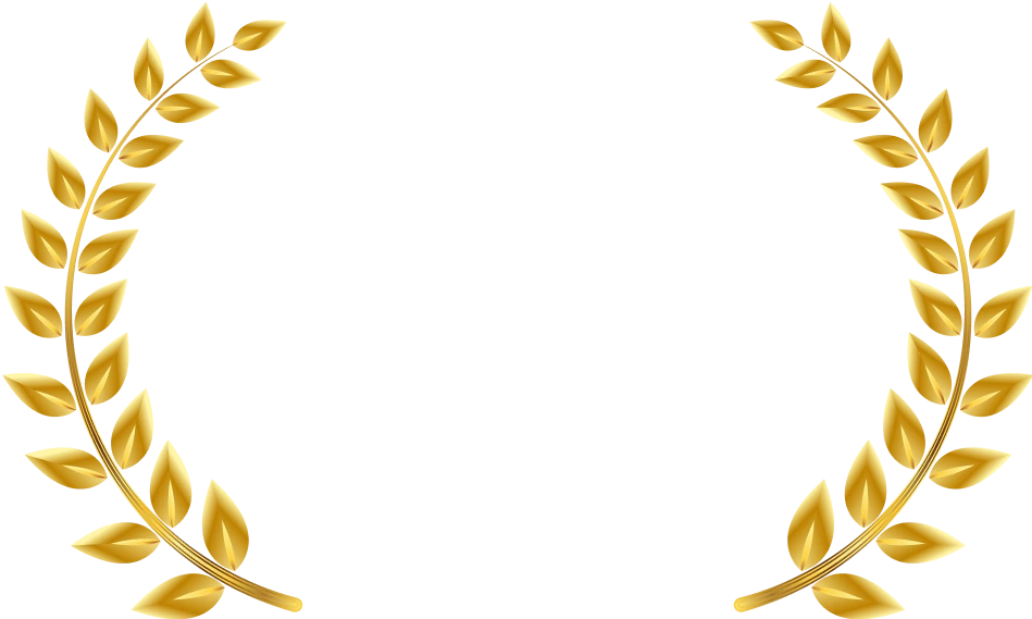 DY Patil Vidyapeeth University Online Placement