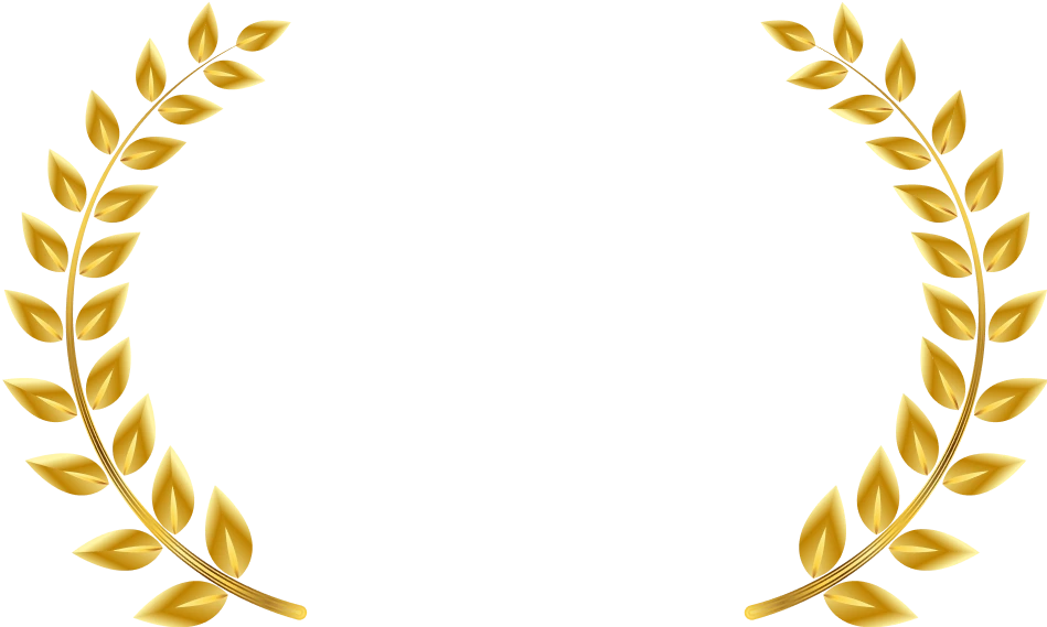 DY Patil Vidyapeeth University Online Placement