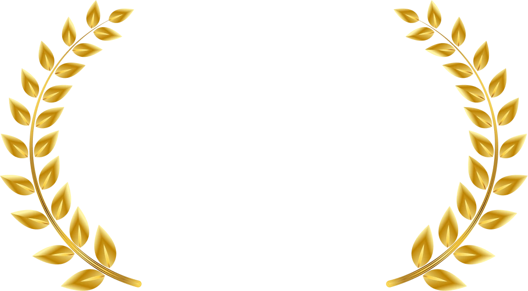 LPU University Online Placement