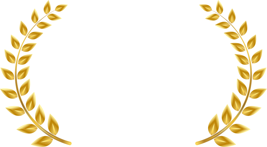 LPU University Online Placement