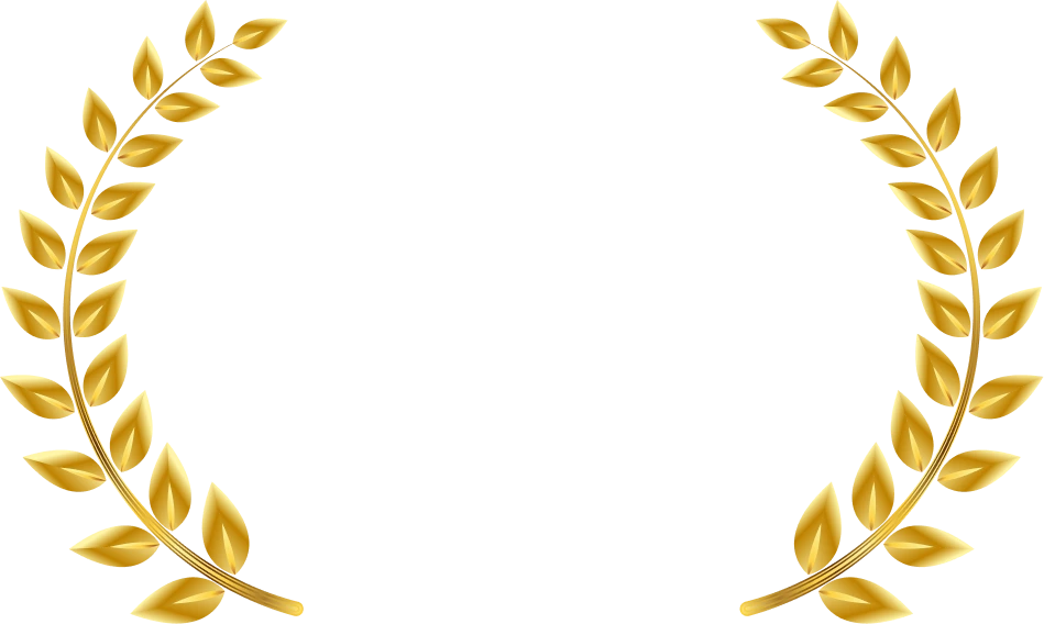 20,000+ Opportunities Created