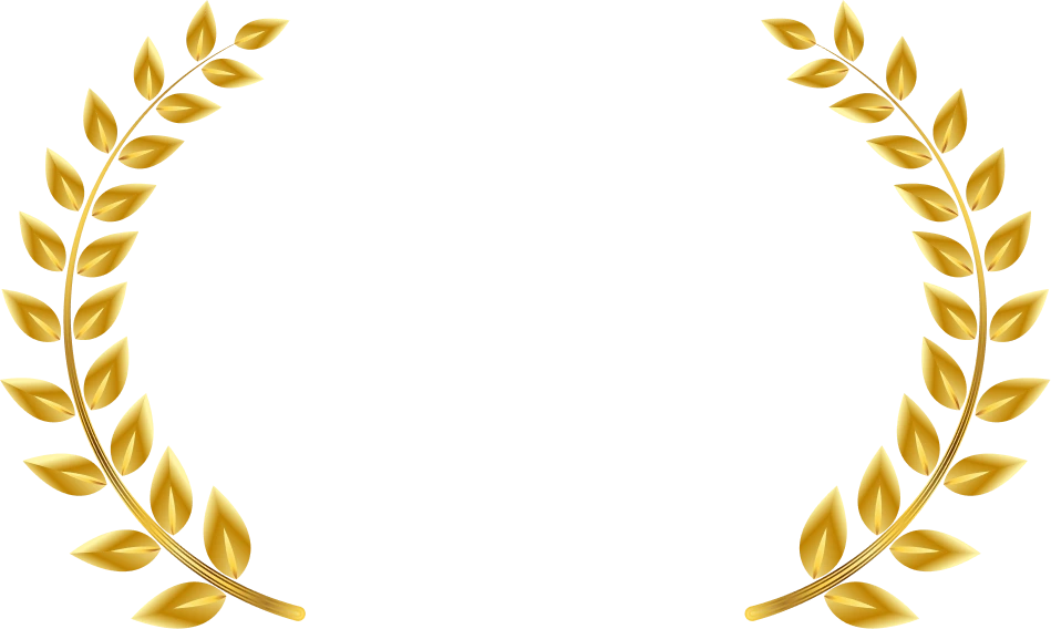 500+Hiring Partners