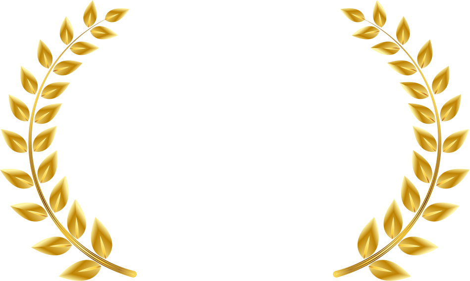 Manipal Academy of Higher Education Online Placement