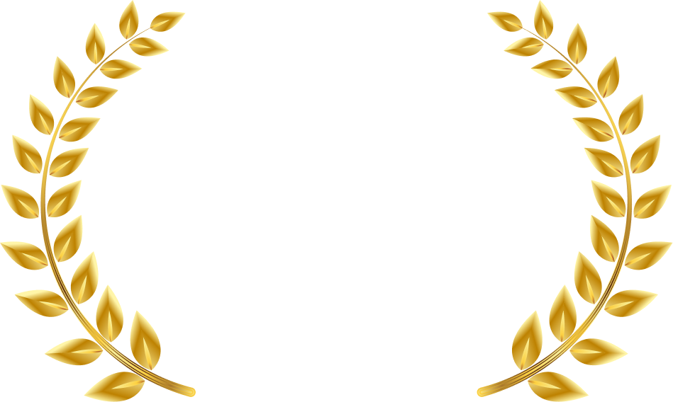 Manipal Academy of Higher Education Online Placement