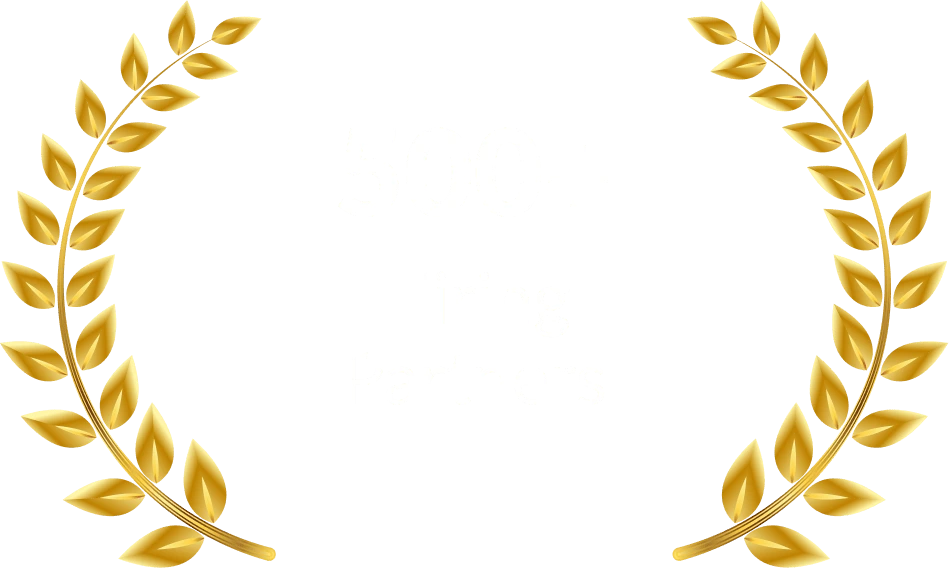 500+ Hiring partners