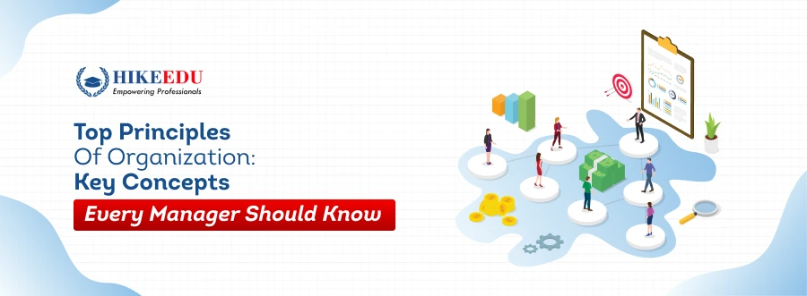 Top Principles of Organization: Key Concepts Every Manager Should Know