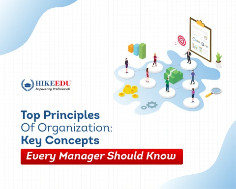 Top Principles of Organization: Key Concepts Every Manager Should Know